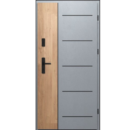WIKĘD FI02a Future Inox Exterior Entrance Door