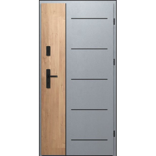 WIKĘD FI02a Future Inox Exterior Entrance Door photo